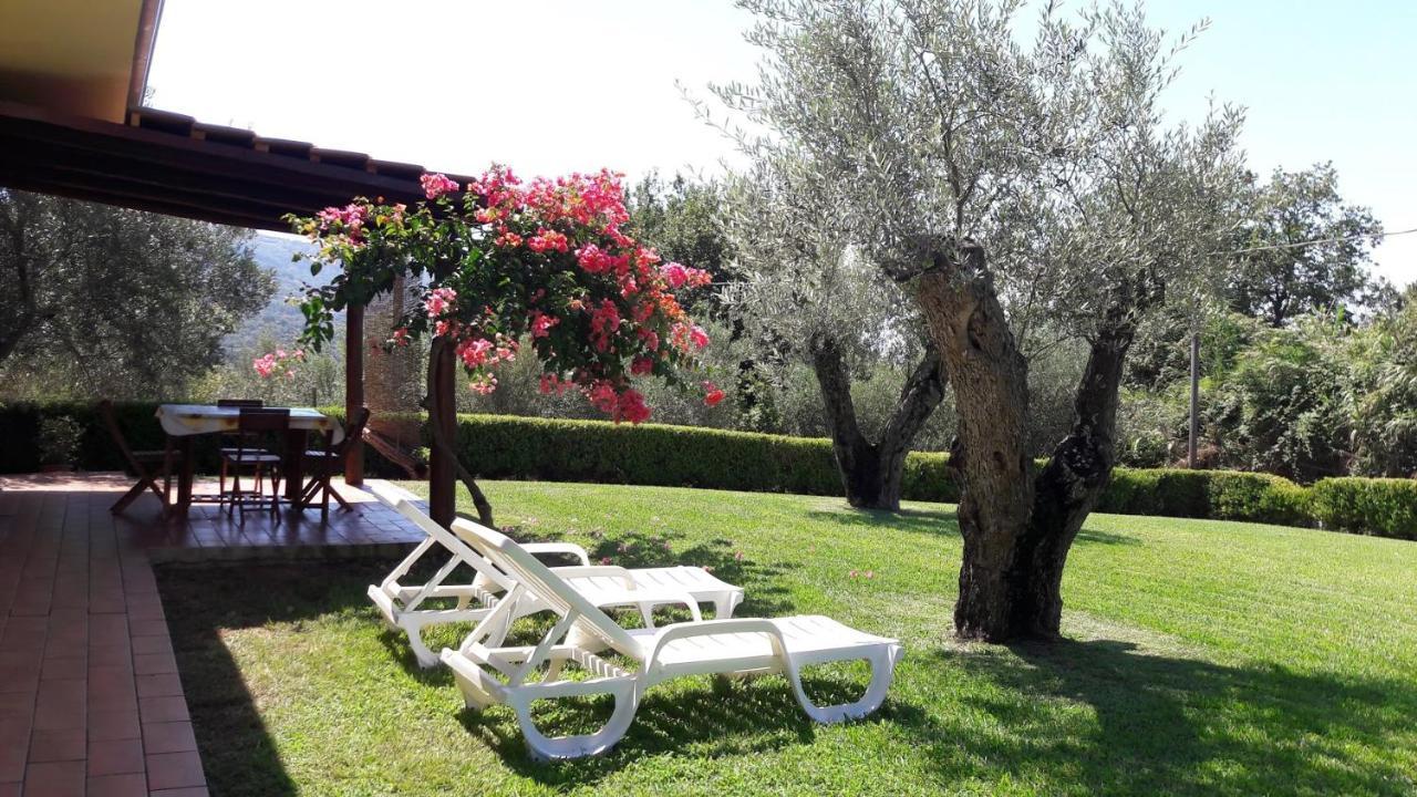 Villa Mimosa Tropea Рикади Экстерьер фото